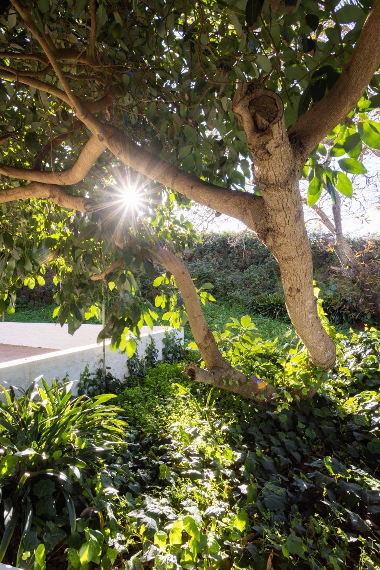 Lightbooking Casa De Campo Ortigal Tenerife Ла-Эсперанса Экстерьер фото